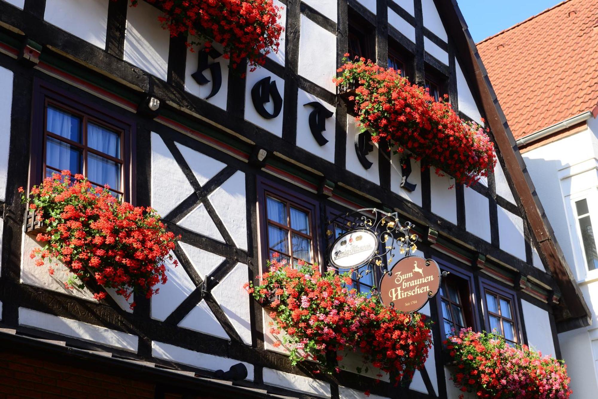 Hotel Zum Braunen Hirschen Bad Driburg Exteriör bild